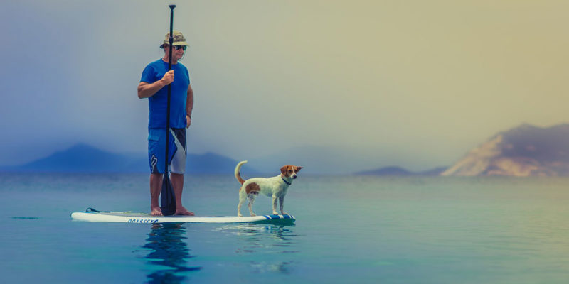 paddle boarding with dogs in the united states